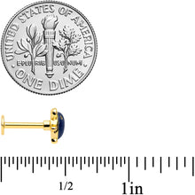 Load image into Gallery viewer, 16G 5/16 Gold Tone Black Mouse Labret Monroe Tragus
