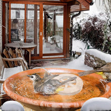 Load image into Gallery viewer, 70W Bird Bath Deicer Aluminum Alloy Water Heater with Thermostat Auto Shutdown
