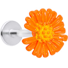 将图片加载到图库查看器，16G 5/16 Orange Daisy Flower Labret Monroe Tragus
