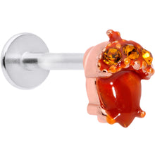 Load image into Gallery viewer, 16G 5/16 Brown Gem Fall Autumn Acorn Labret Monroe Tragus
