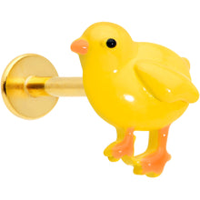 Load image into Gallery viewer, 16G 5/16 Gold Tone Yellow Easter Chick Labret Monroe Tragus

