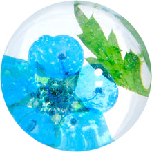 将图片加载到图库查看器，Clear Acrylic Color Pressed Flowers Double Flare Plug Set
