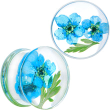 将图片加载到图库查看器，Clear Acrylic Color Pressed Flowers Double Flare Plug Set
