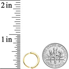 Load image into Gallery viewer, 20G 3/8 Clear CZ Gem Gold Tone Forward Facing Nose Hoop

