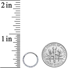 将图片加载到图库查看器，16G 3/8 Clear CZ Gem G23 Titanium Paved Hinged Segment Ring
