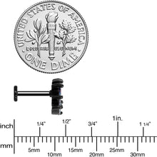 Load image into Gallery viewer, 16G 5/16 Clear CZ Gem Black Fan Internally Threaded Labret Tragus
