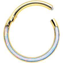 将图片加载到图库查看器，16G 3/8 Synth Opal Gold Tone Bottom Curve Hinged Segment Ring
