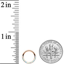 Load image into Gallery viewer, 16G 5/16 Synth Opal Rosy Tone Bottom Curve Hinged Segment Ring
