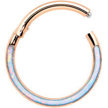 将图片加载到图库查看器，16G 3/8 Synth Opal Rose Gold Tone Bottom Curve Hinge Segment Ring
