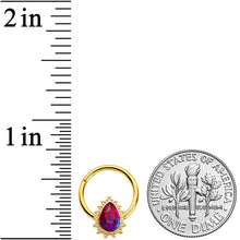 Load image into Gallery viewer, 16G 3/8 Purple Tourmaline Gold Tone Drop Hinged Segment Ring
