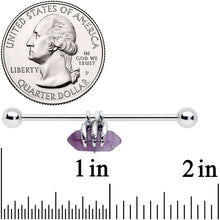 Load image into Gallery viewer, 14G Purple Amethyst Claw Industrial Barbell 38mm
