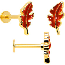 Load image into Gallery viewer, 16G 5/16 Clear Gem Gold Tone Squirrel Leaf Labret Tragus Set of 3
