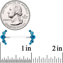 Load image into Gallery viewer, 14G 13/16 Blue Gem Bioplast Simple Curvation Barbell Nipple Ring Set
