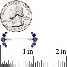 Load image into Gallery viewer, 14G 13/16 Purple Gem Bioplast Simple Curvation Nipple Ring Set
