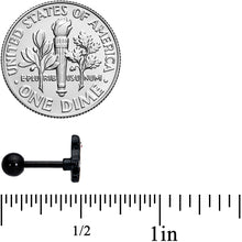 Load image into Gallery viewer, 16G 1/4 Black Baby Penguin Cartilage Tragus Earring

