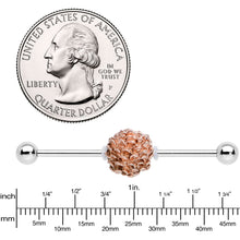 Load image into Gallery viewer, 14G Autumn Pine Cone Industrial Barbell 38mm
