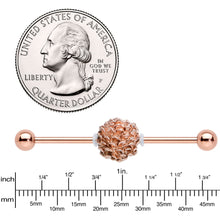 Load image into Gallery viewer, 14G Rose Gold Tone Autumn Pine Cone Industrial Barbell 38mm
