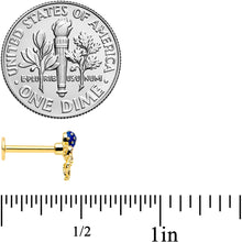 Load image into Gallery viewer, 16G 5/16 Gold Tone Textured Blue Octopus Labret Monroe Tragus
