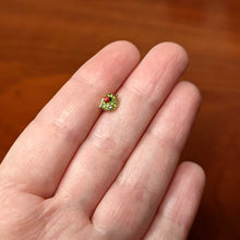 Load image into Gallery viewer, 16G 5/16 Clear Gem Gold Tone Leafy Ladybug Labret Monroe Tragus
