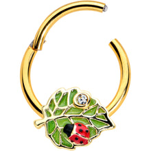 将图片加载到图库查看器，16G 3/8 Clear Gem Gold Tone Leafy Ladybug Hinged Segment Ring
