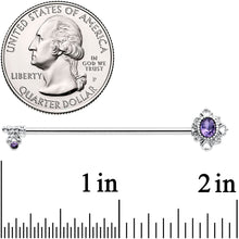 Load image into Gallery viewer, 14G Purple Gem Unlock My Heart Key Industrial Barbell 38mm
