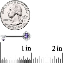 Load image into Gallery viewer, 14G 9/16 Purple Gem Unlock My Heart Key Barbell Nipple Ring Set

