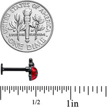 将图片加载到图库查看器，16G 5/16 Black Classic Ladybug Labret Monroe Tragus
