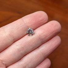 Load image into Gallery viewer, 16G 5/16 Clear Pink Gem Luscious Fruit Tree Labret Monroe Tragus
