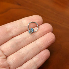 Load image into Gallery viewer, 16G 3/8 Black Gem Blue Leaping Dolphins Hinged Segment Ring
