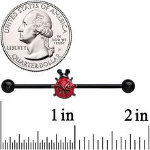 将图片加载到图库查看器，14G Black Classic Ladybug Industrial Barbell 38mm
