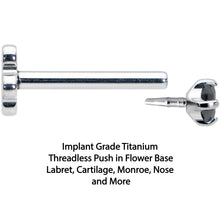 将图片加载到图库查看器，18G 5/16 Black CZ G23 Titanium Threadless Flower Labret Tragus
