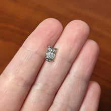 Load image into Gallery viewer, 16G 1/4 Clear CZ Gem Owl Internal Thread Labret Monroe Tragus
