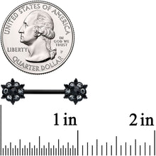 Load image into Gallery viewer, 14G 9/16 Clear CZ Gem Black Abstract Sun Barbell Nipple Ring Set
