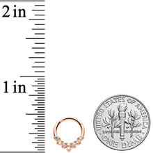 将图片加载到图库查看器，16G 5/16 Aurora CZ Gem Rosy Tone Seven Leaf Hinged Segment Ring
