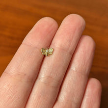 Load image into Gallery viewer, 16G 5/16 Clear Gem Gold Tone Beauty Bee Labret Monroe Tragus
