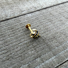 Load image into Gallery viewer, 16G 5/16 Gold Tone Blue Adorable Angelfish Labret Monroe Tragus
