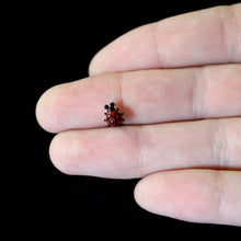 将图片加载到图库查看器，Black Classic Ladybug Top End Barbell Tongue Ring
