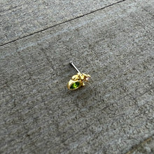 Load image into Gallery viewer, 20G 1/4 Green Gem Shades of Spring Golden Nose Bone
