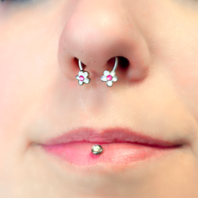 Load image into Gallery viewer, 16G 3/8 Pink Gem Daisy Flowers Horseshoe Circular Barbell
