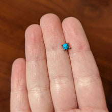 Load image into Gallery viewer, 20G 1/4 Blue Turquoise Claw Hand Halloween Nose Bone

