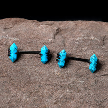 Load image into Gallery viewer, 14G 9/16 Blue Turquoise Black Claw Barbell Nipple Ring Set
