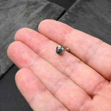 将图片加载到图库查看器，16G 5/16 Leaping Blue Dolphin Labret Monroe Tragus
