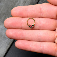 Load image into Gallery viewer, 16G 3/8 Gold Tone Watermelon Bite Hinged Segment Ring
