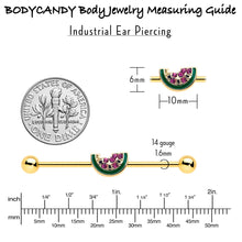 Load image into Gallery viewer, 14G Gold Tone Watermelon Bite Industrial Barbell 38mm

