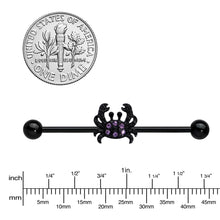Load image into Gallery viewer, 14G Purple Gem Black Chic Crab Industrial Barbell 38mm

