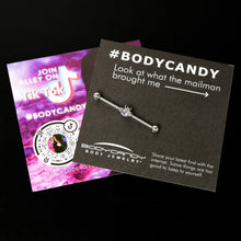 Load image into Gallery viewer, 14G Purple Gem Bee Beautiful Insect Industrial Barbell 38mm
