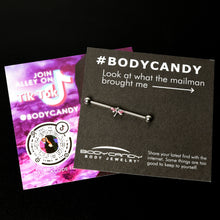 Load image into Gallery viewer, 14G Pink Gem Simple Stylized Dragonfly Industrial Barbell 38mm
