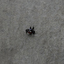 Load image into Gallery viewer, 20G 1/4 Black Halloween Witchy Smiling Spider Nose Bone
