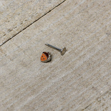 Load image into Gallery viewer, 16G 5/16 Acorn Face Brown Autumn Labret Monroe Tragus
