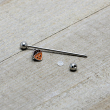 Load image into Gallery viewer, 14G Autumn Acorn Face Brown Fall Industrial Barbell 38mm
